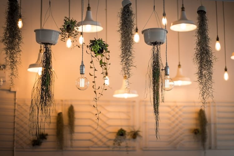 Cómo ahorrar luz en el jardín