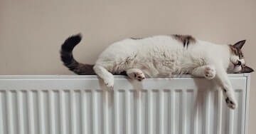 Acumulador eléctrico definición, tipos y usos