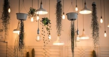 Cómo ahorrar luz en el jardín