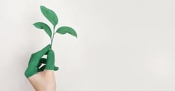 Cómo reducir la huella de carbono en casa