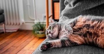 Plan Renove de calderas 2025